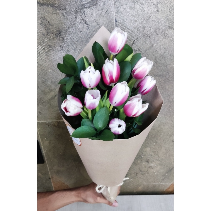 Tulipanes