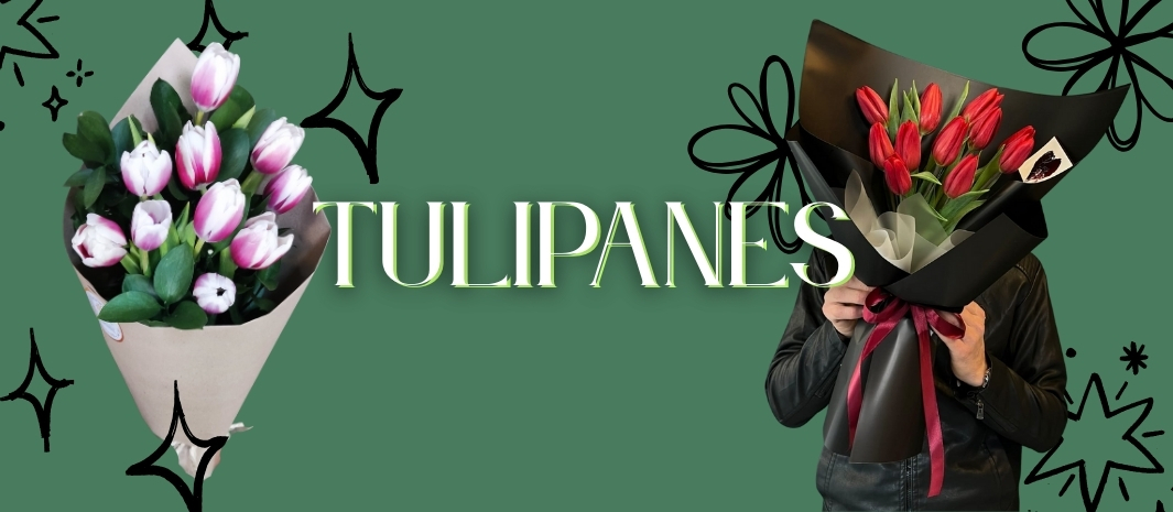 floristerias en cali