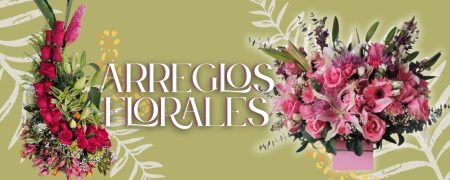 floristerias en cali
